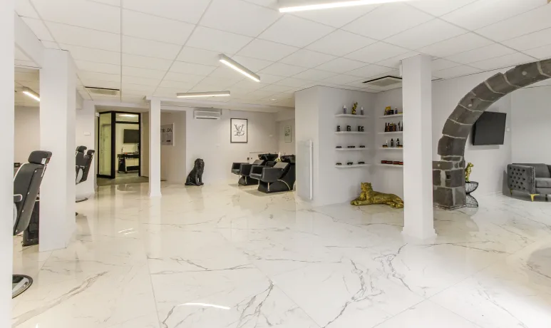 Le salon (8)
